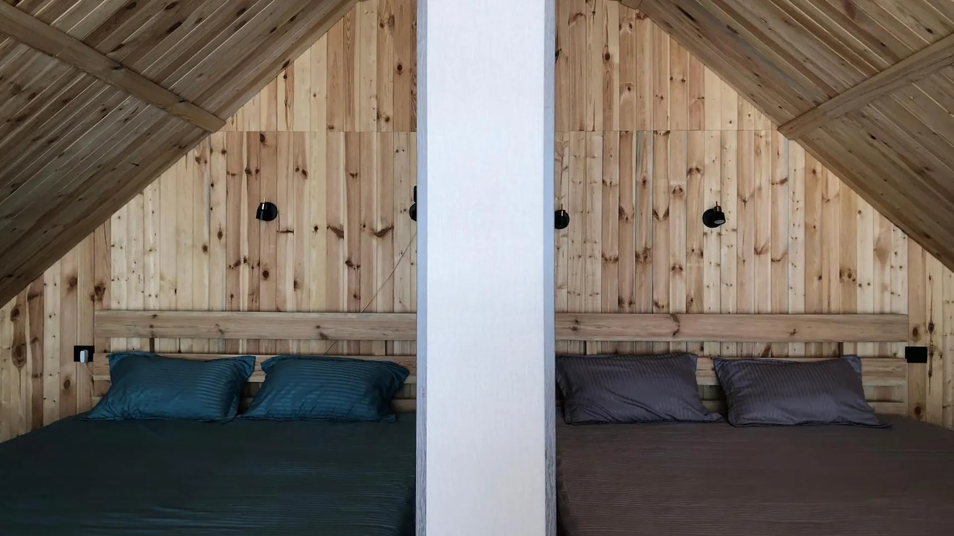 Domek alpejski Willa Dream House Ałma Ata Kazachstan